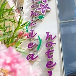 Orchidea *