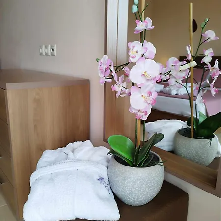 Orchidea Kallithea (Chalkidiki)