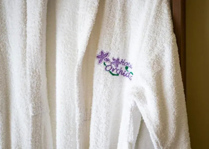 Отель Orchidea *